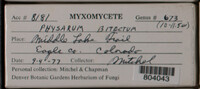 Image Associated With the Occurence